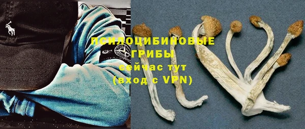 мдма Гусев