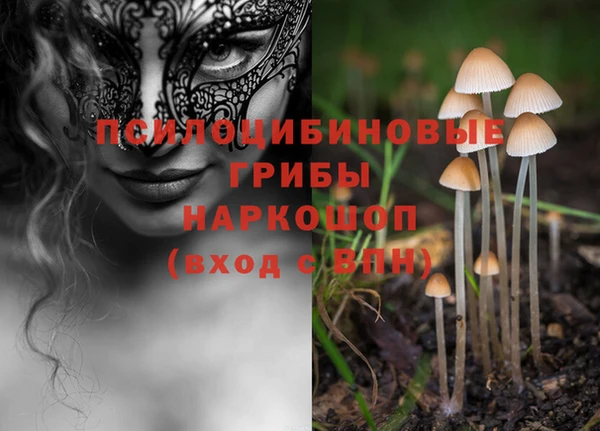 spice Горно-Алтайск