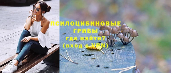 бошки Гусь-Хрустальный